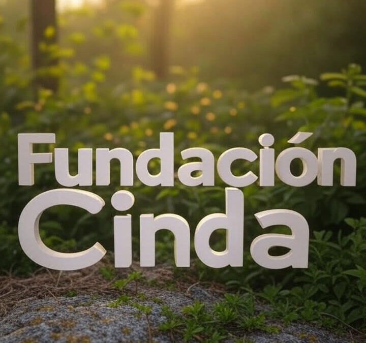 Fundación Cinda